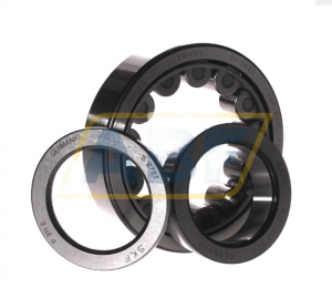 Подшипник NUP311ECJ SKF